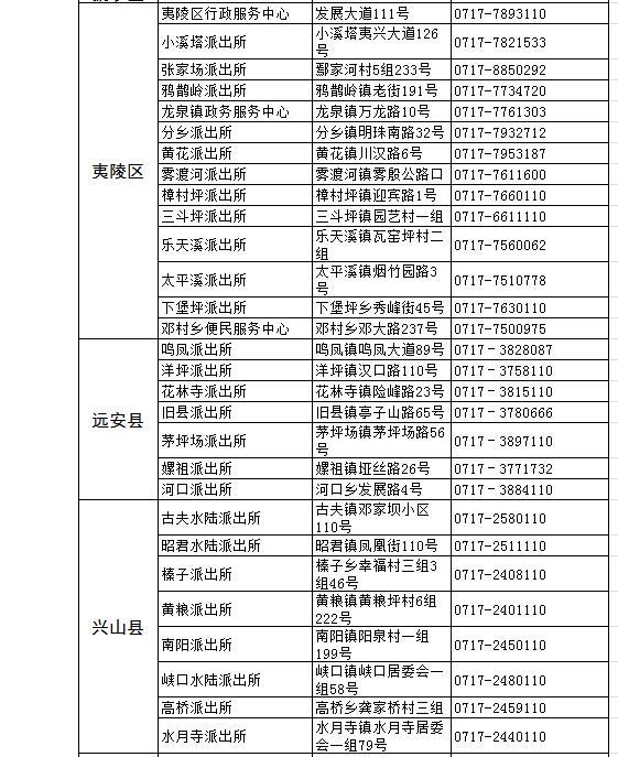 全国人口信息服务表_中国的人口(2)