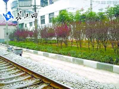 废弃57年武九铁路拆留引争议 建议学美改成观