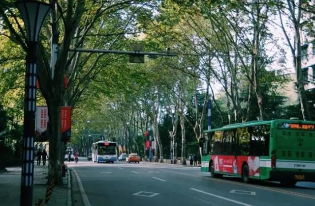 这八条网红马路 撑起了整个武汉的颜值