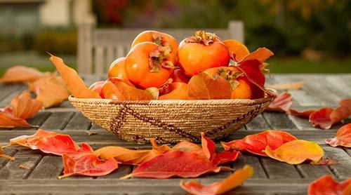 女子空腹吃柿子 吃出鸡蛋大结石肚子疼了半月