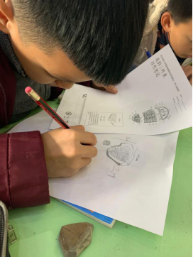 化石博物馆走进武汉瑞景小学