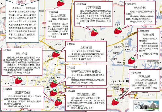 武汉草莓采摘地图出炉 最贵每斤48元最便仅4元