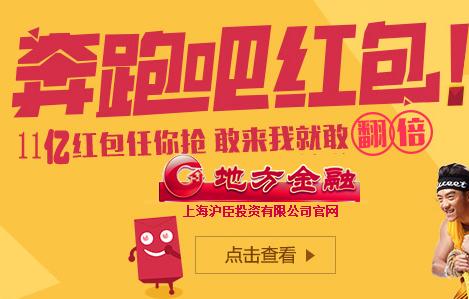 国际金融理财师_理财师资格通过收入(2)