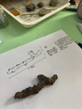 化石博物馆走进武汉瑞景小学