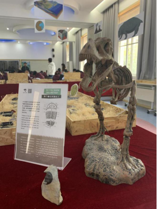 化石博物馆走进武汉瑞景小学