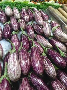 宜昌本地产花茄子上市 价格略贵适合烧烤