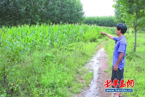 15岁少女暑假补课失踪