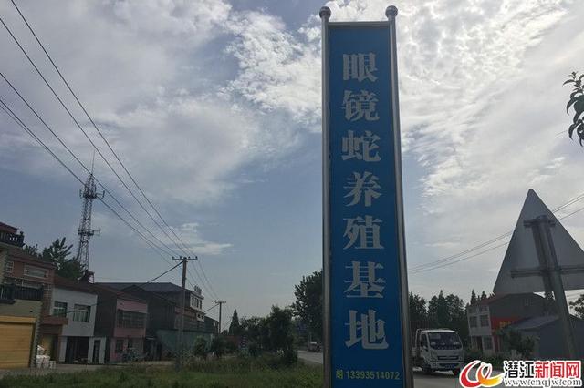 潜江男子与蛇为伴 养殖眼镜蛇开启别样创业路