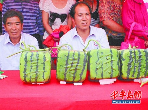 想看西瓜身世,手机一扫便知