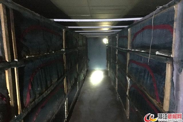 潜江男子与蛇为伴 养殖眼镜蛇开启别样创业路