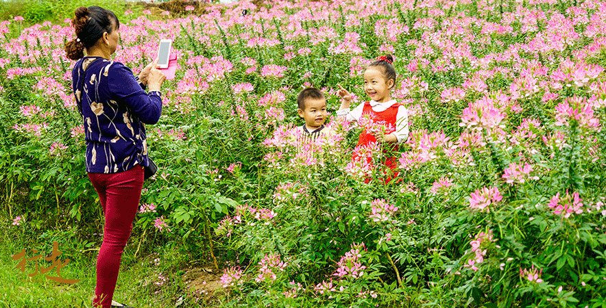 探访英山四季花海 感受花开月圆美好时节