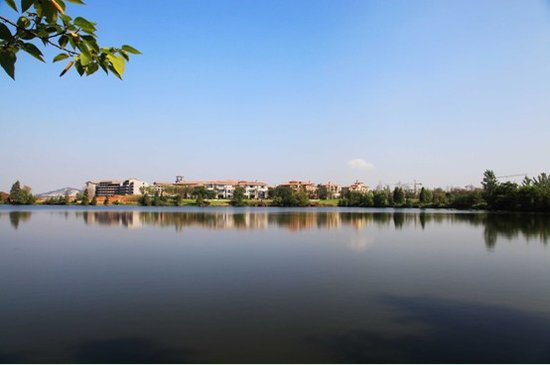 碧桂园·生态城 享光谷升值潜力,打造高端住宅