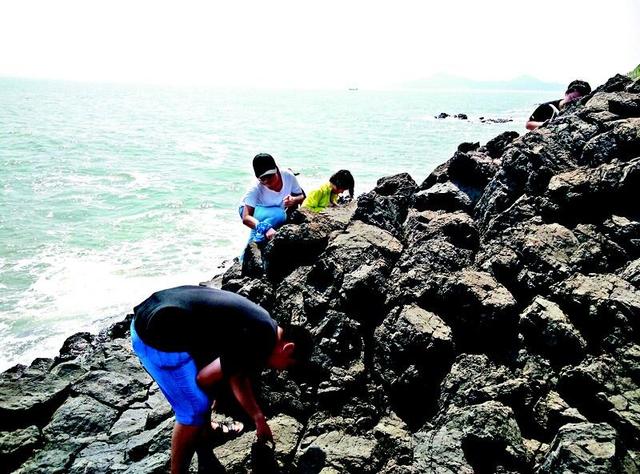 湖北大学生扮游客登火山岛 奔赴东海挖宝石