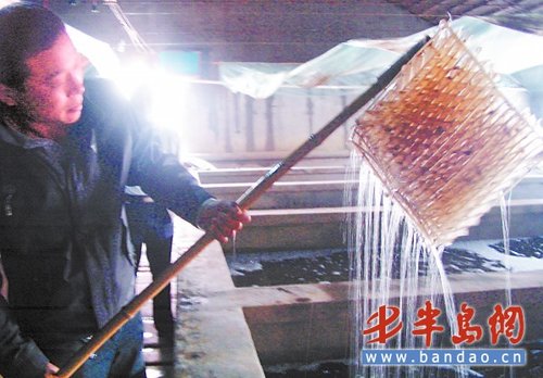 全国海参，半数&ldquo;根&rdquo;在田横