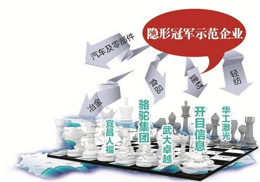 湖北拟定46家隐形冠军企业 走“专特新精”道路