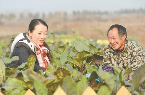 武汉市民对食品品质要求高 花钱包地订制蔬菜