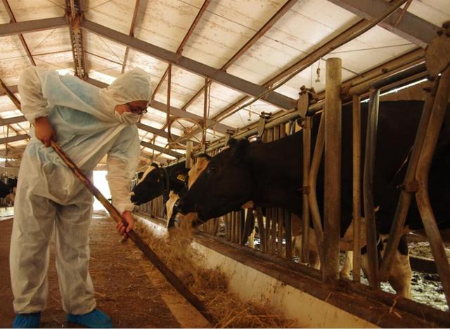 萌牛哞哞的高品生活