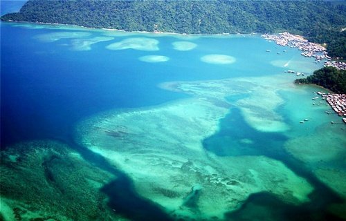 亚庇吃海鲜_深圳澳头吃海鲜_吃海鲜