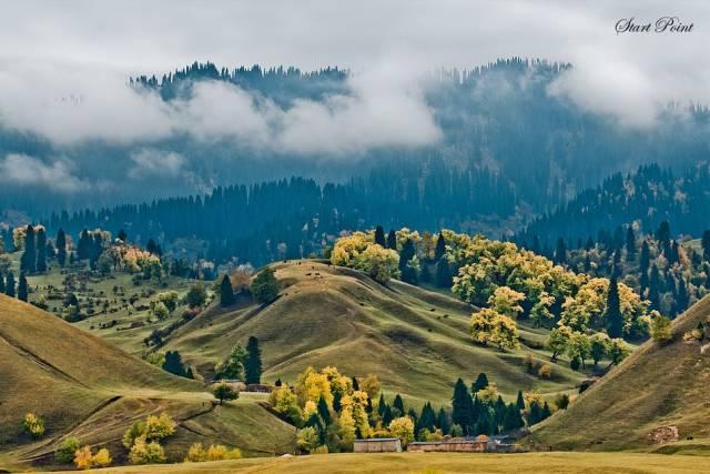 南疆是不去治不好的病 北疆是去过戒不掉的瘾