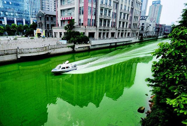 楚河开通5年来首次爆发蓝藻水华 专家提建议