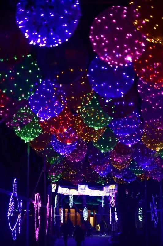 流光溢彩再添浓浓年味 东湖灯会惊艳回归
