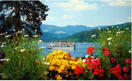 德国黑森林+聆听滴滴湖的咕咕钟