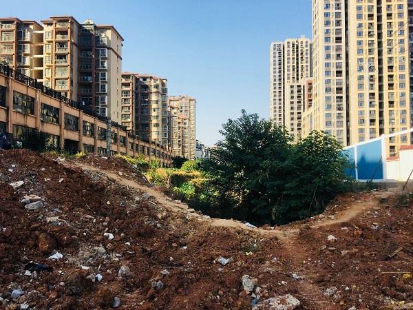 武汉焦作城一多年道路未开建别墅绕远出门路居民盘龙滨湖图片