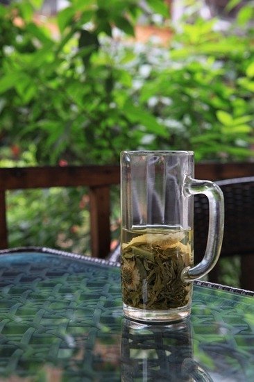 峨眉山赏心乐事 八大体验过春天