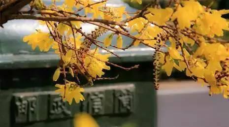 盘点中国最牛的十所非211高校:国科大领衔