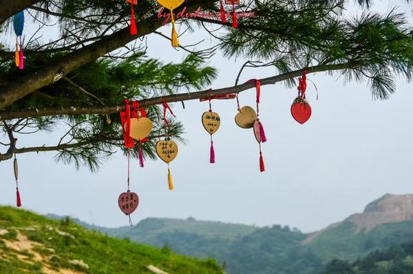 夏日游宜昌 这样更好玩