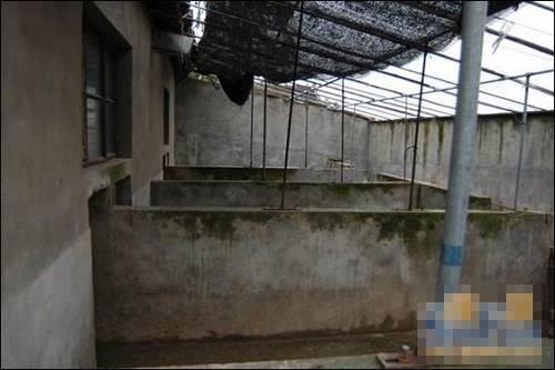 实拍村姑仅花10万建造豪华别墅 茅草屋变豪宅