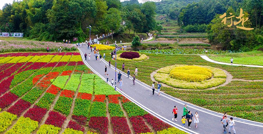 探访英山四季花海 感受花开月圆美好时节