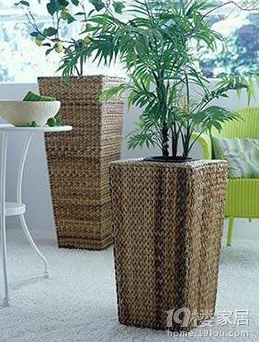 客厅植物也会破坏<em>风水</em> 当心会让<em>头发</em>脱落!_大