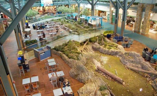 机场过夜指南!原来可以这么有趣