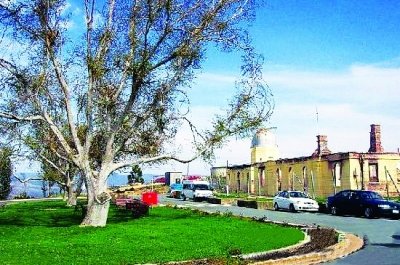 澳将放宽留学和移民政策 减少担保金要求