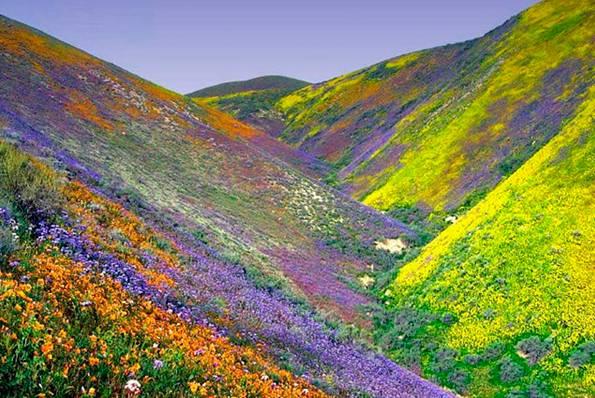 99%的人看完都心动了!