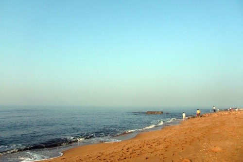 盛夏邀约去避暑 北戴河观鸟看海_旅游频道_游