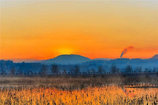 美丽昌宁 冬季日出醉田园