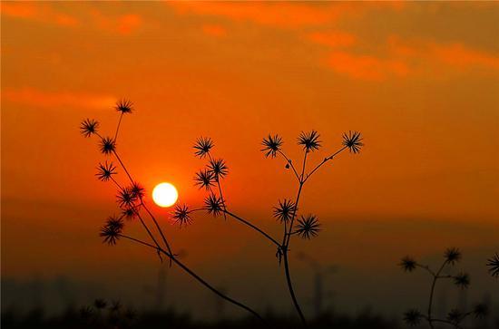 美丽昌宁 冬季日出醉田园