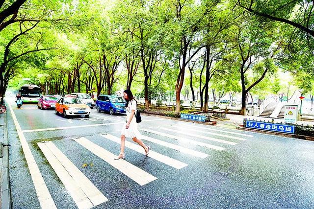 武汉年内将在200个路口装礼让行人抓拍系统