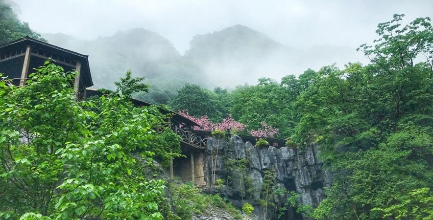 湖北这座世界级公园 一下雨就美成了仙境(图6)