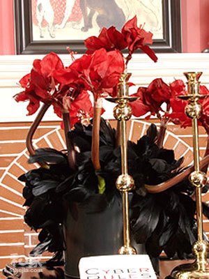 复古英伦家居风 红黑搭配彰显魔幻味道(图)_家