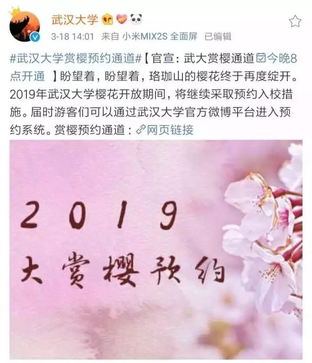 抖音怎么样才能有樱花雨 149978447.jpeg