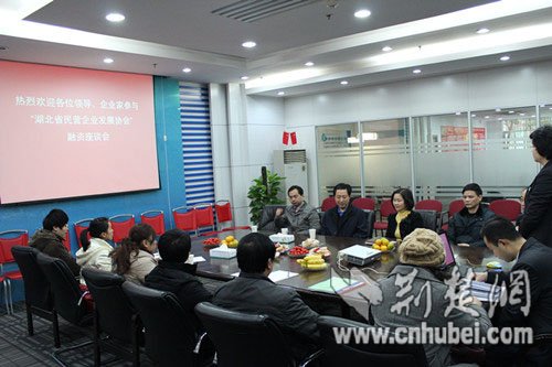 省民企协会成功举办2011湖北银企融资座谈会