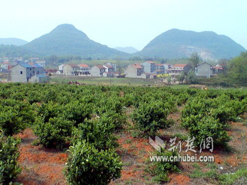 老总去山村_山村风景(3)