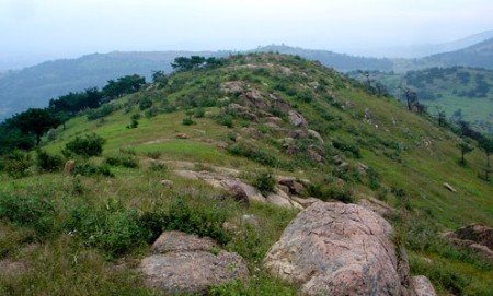 骑行凤凰山 看山花烂漫 闻野果飘香_旅游频道