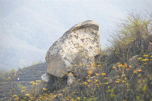 随县车云山惊现巨型蟾蜍石 3米的奇石吸引游客