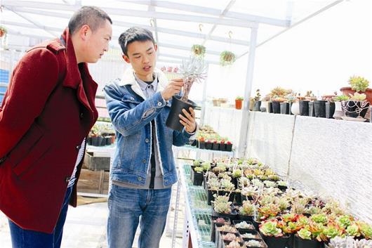 小伙蜗居6年培育500种多肉植物 遍布北美东南