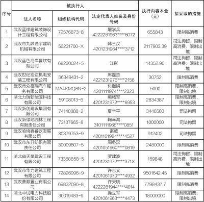 武汉人口级别_武汉人口分布图(2)