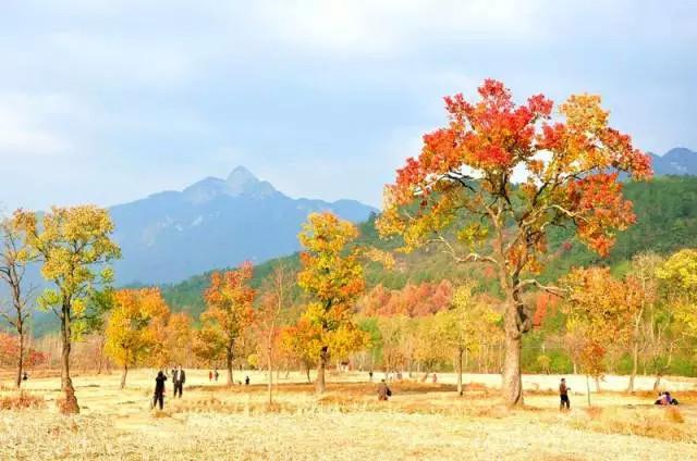 圣人堂村